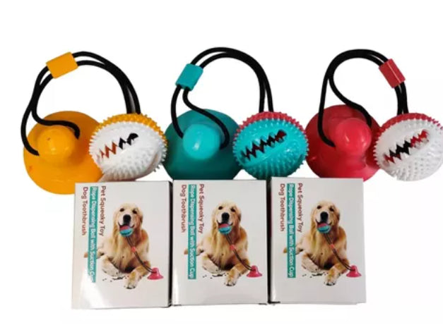 🦴🐶🏐JUGUETE PARA PERRO CON VENTOSA Y PELOTA PARA SACAR PREMIOS🦴🐶🏐
