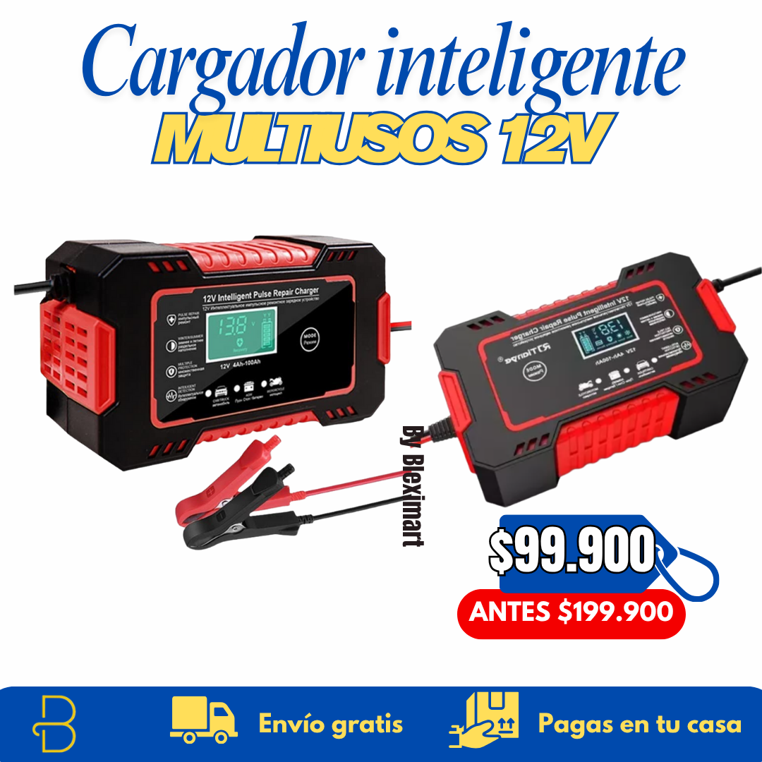 Cargador inteligente multiusos - 12V
