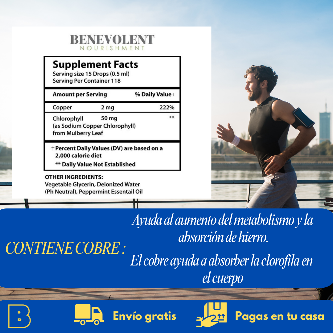 Clorofila líquida: El Secreto Viral para tu Piel y Bienestar