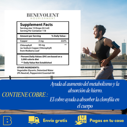 Clorofila líquida: El Secreto Viral para tu Piel y Bienestar