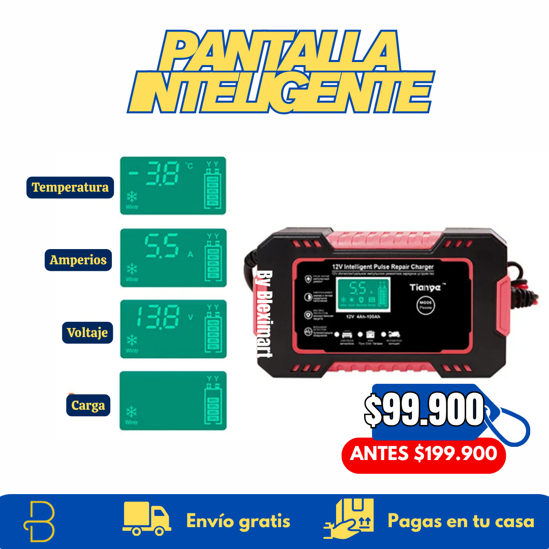 Cargador inteligente multiusos - 12V