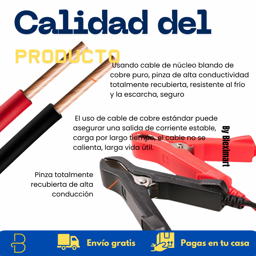Cargador inteligente multiusos - 12V