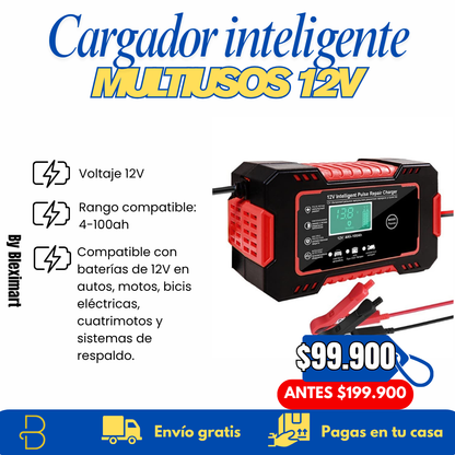 Cargador inteligente multiusos - 12V